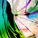 images/8.jpg